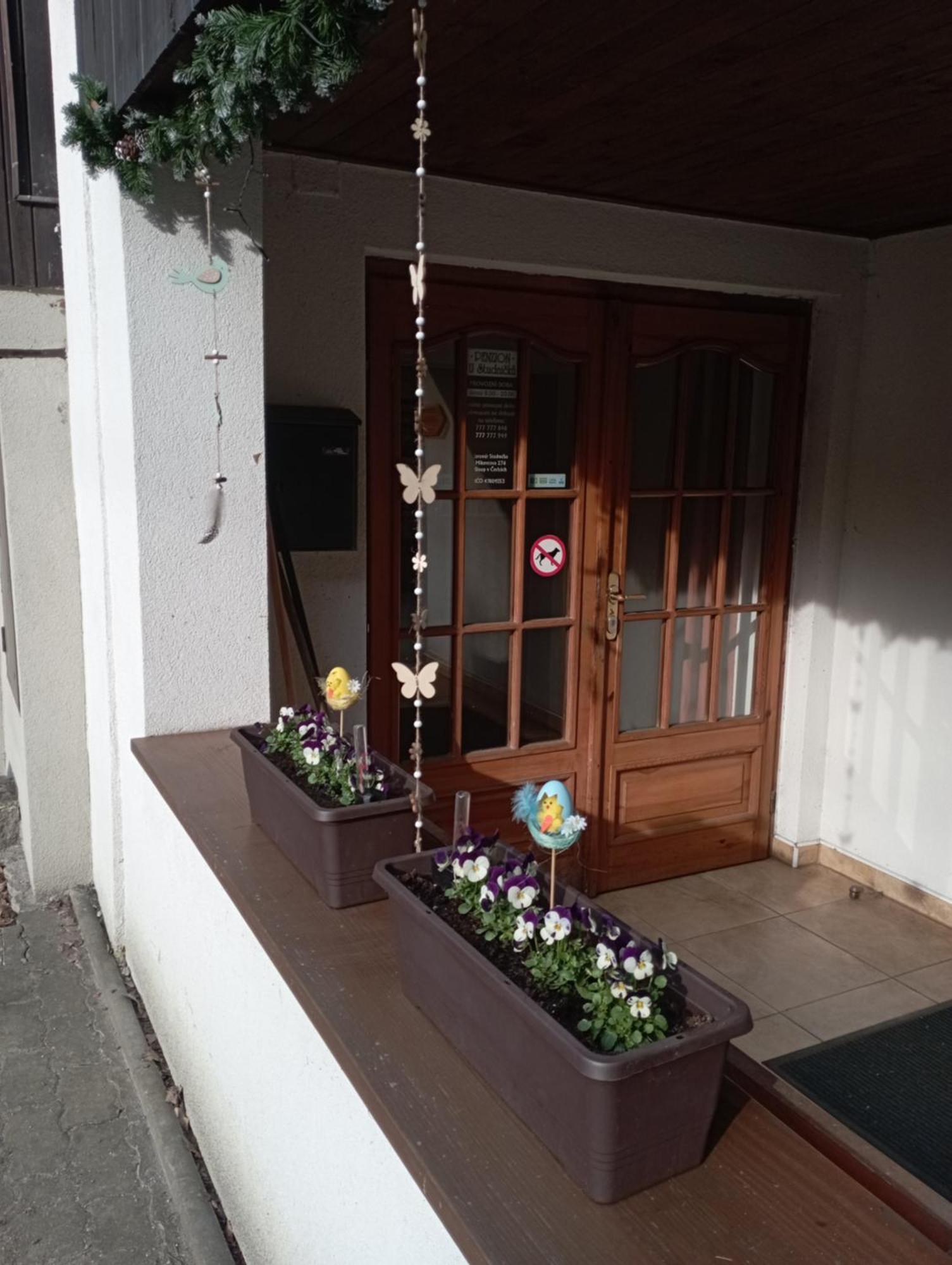 Penzion U Studnicku Ceská Lípa Exterior foto